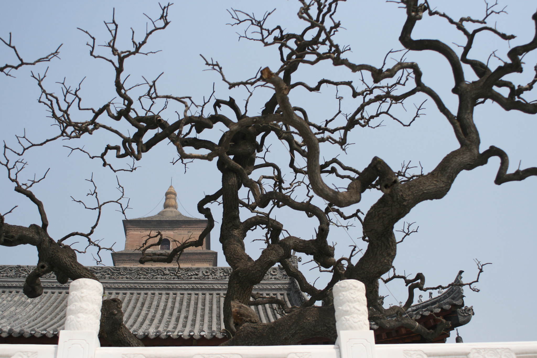 Canon EF 28-80mm f/3.5-5.6 sample photo. Cina photography