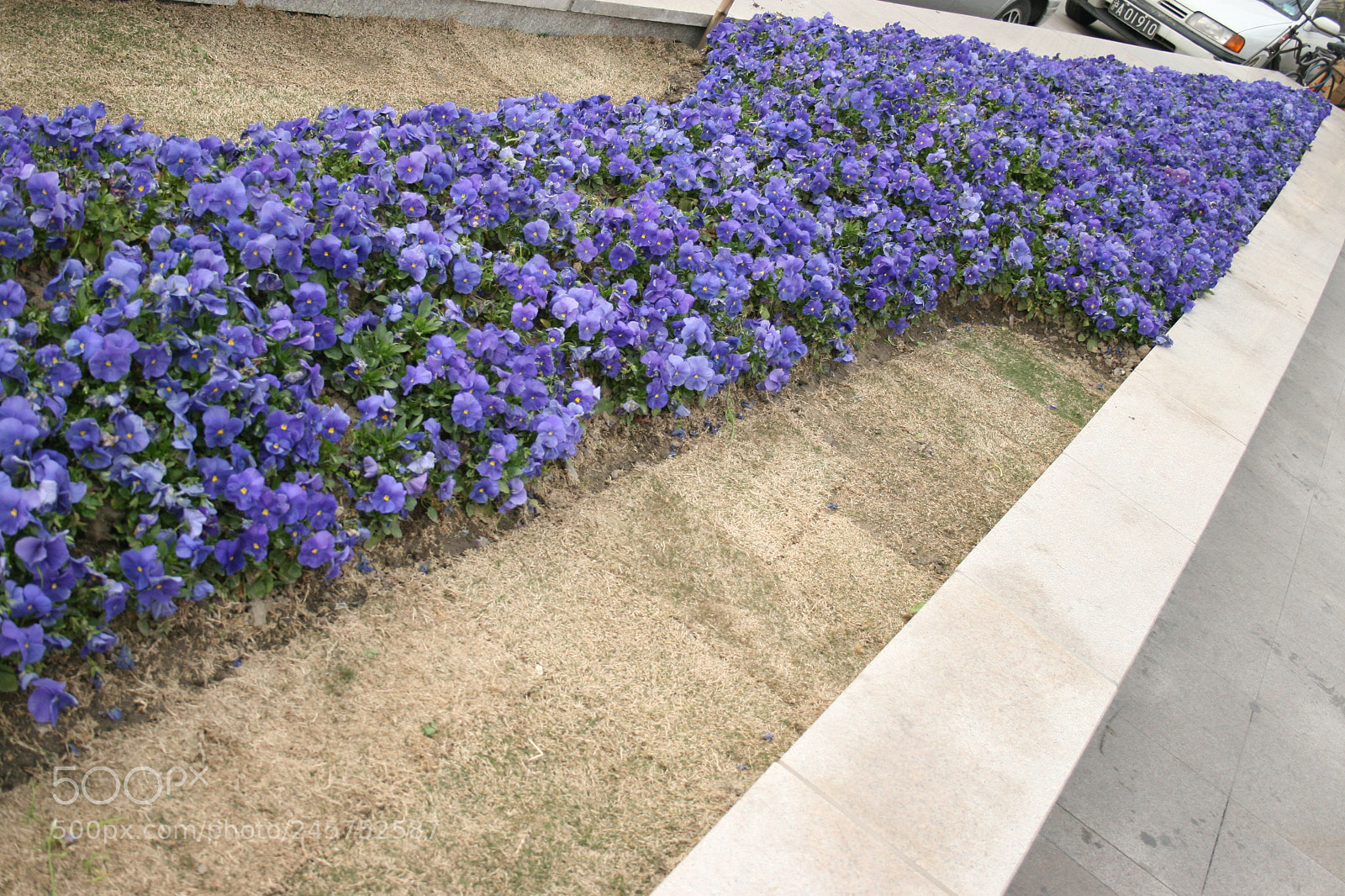 Canon EF-S 18-55mm F3.5-5.6 II sample photo. Cina photography
