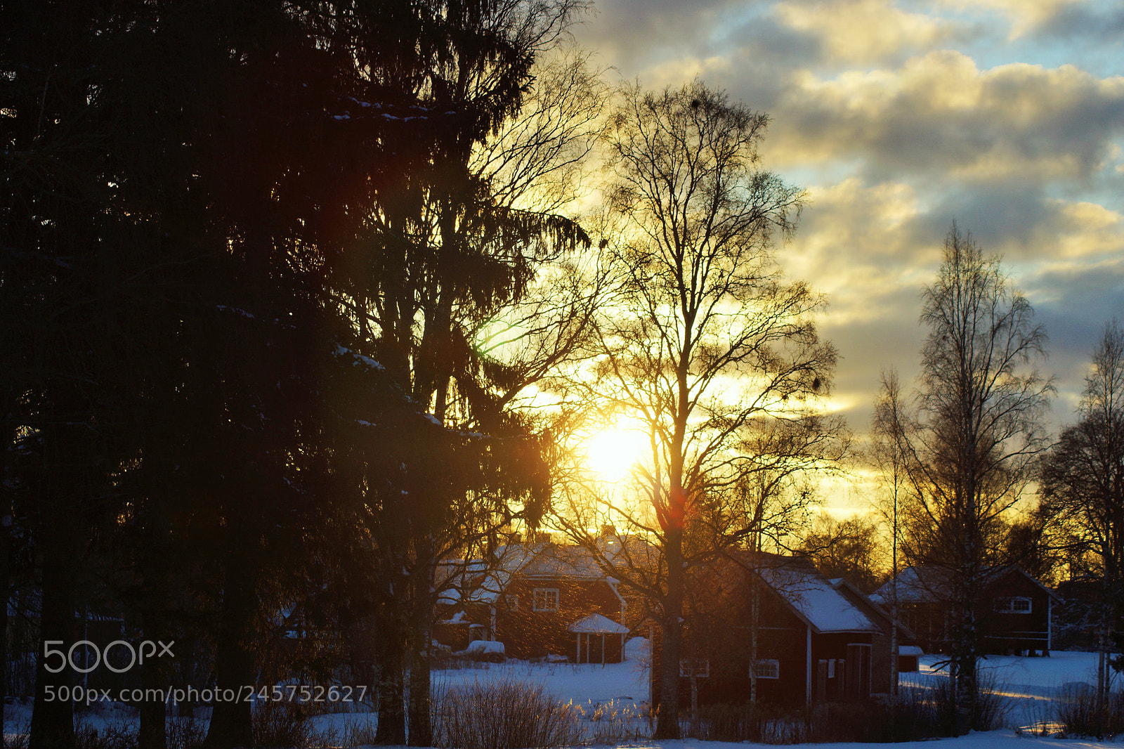 Sony SLT-A65 (SLT-A65V) sample photo. The nature art photography