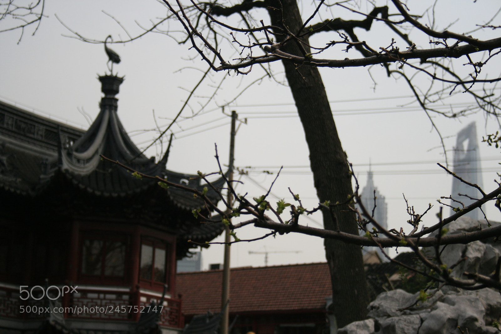 Canon EF-S 18-55mm F3.5-5.6 II sample photo. Cina photography