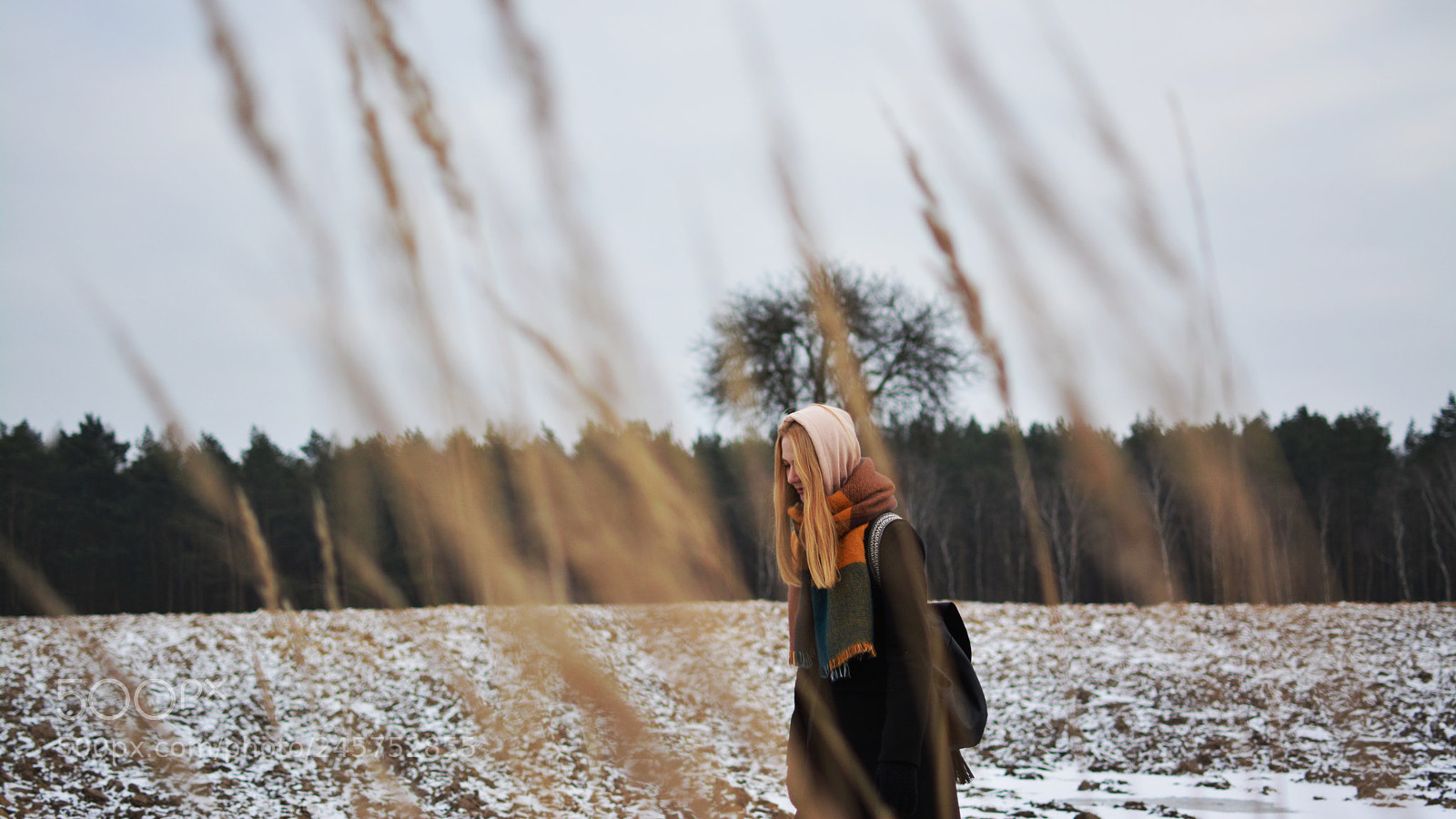 Nikon D5200 sample photo. Forest photography