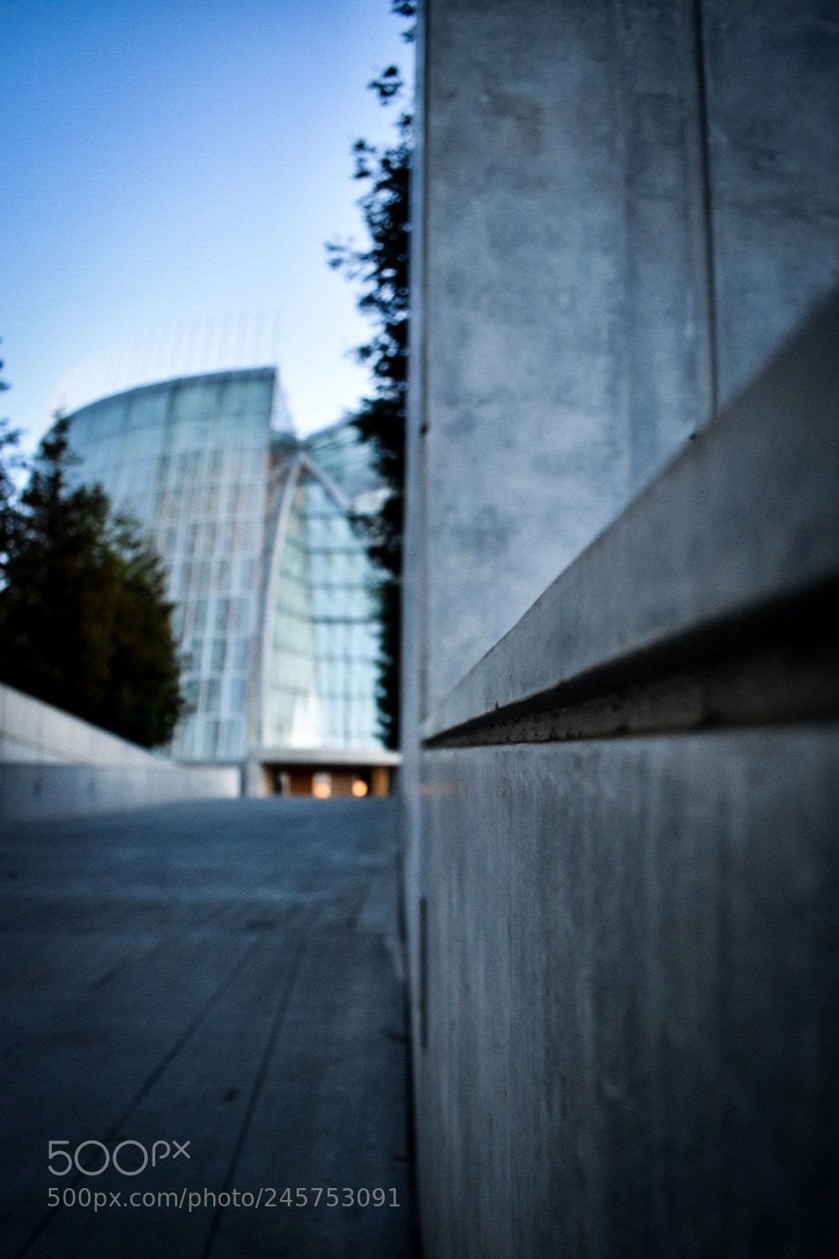Nikon D3400 sample photo. Morning has broken. cathedral photography