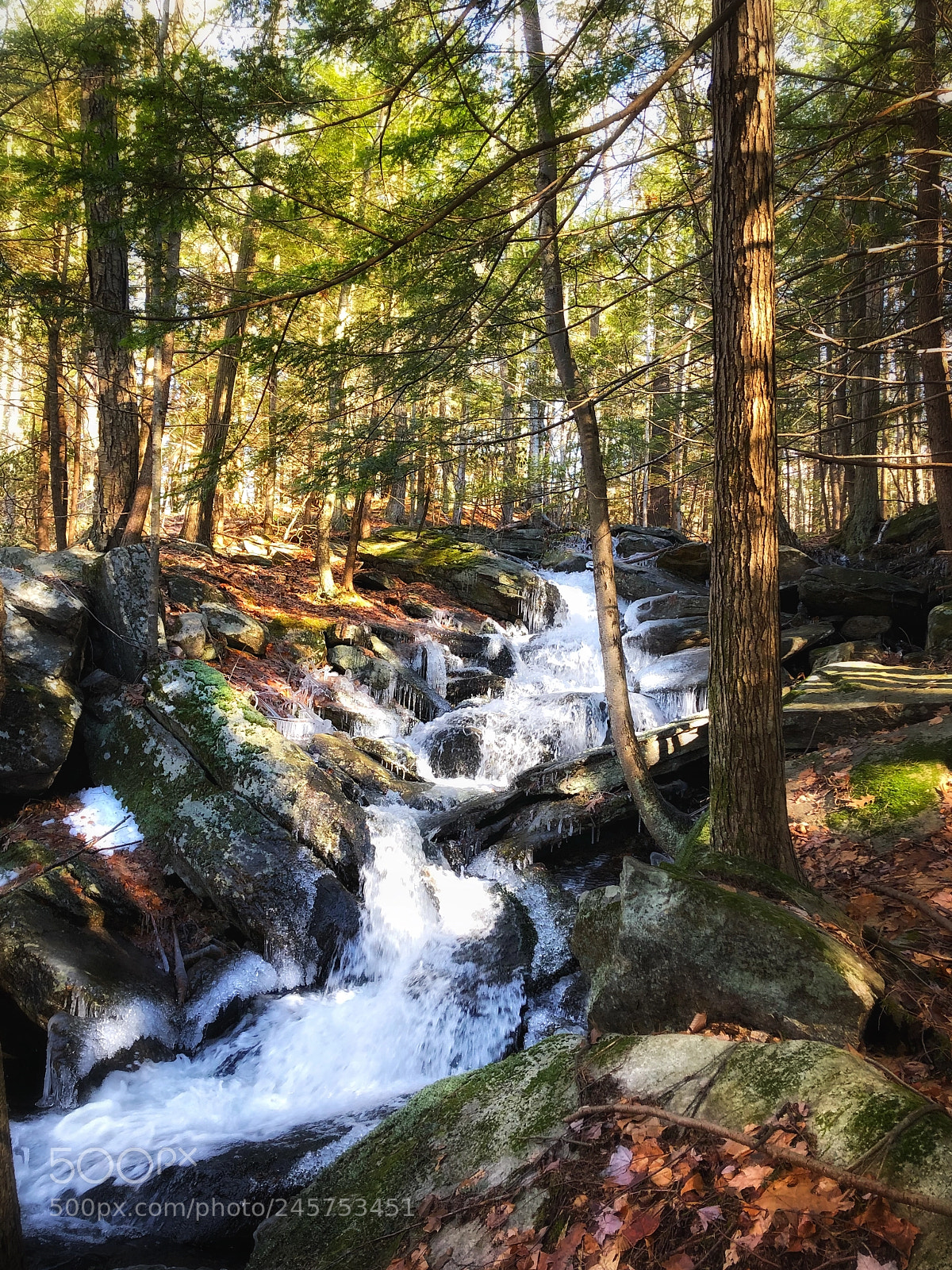 Apple iPhone 8 Plus sample photo. Hidden treasures  photography