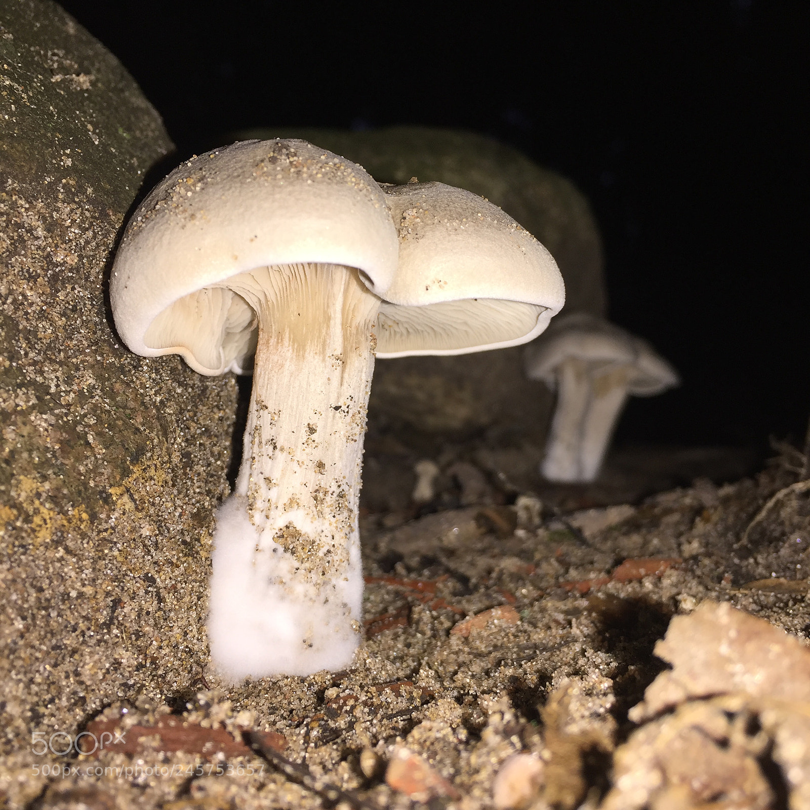 Apple iPhone 6 Plus sample photo. Nighttime exploration photography