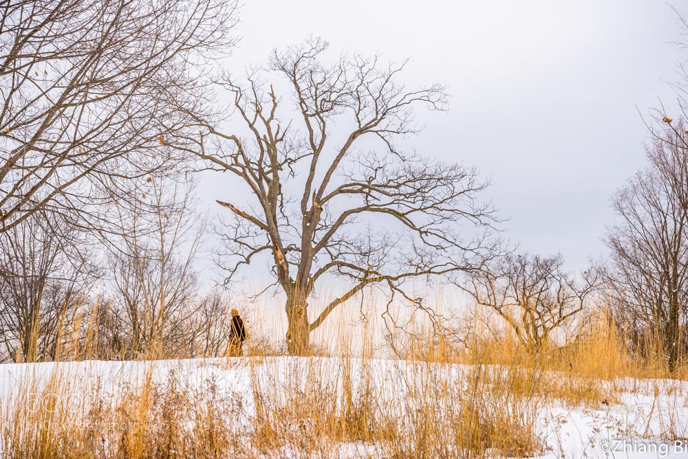 Nikon D610 sample photo. Hiking on snowy hill photography
