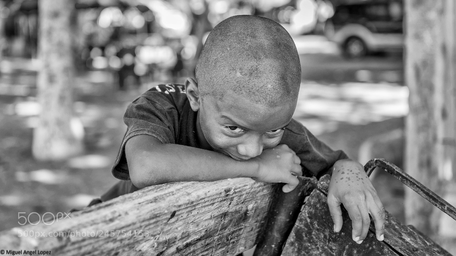 Nikon D800 sample photo. Sheepish photography