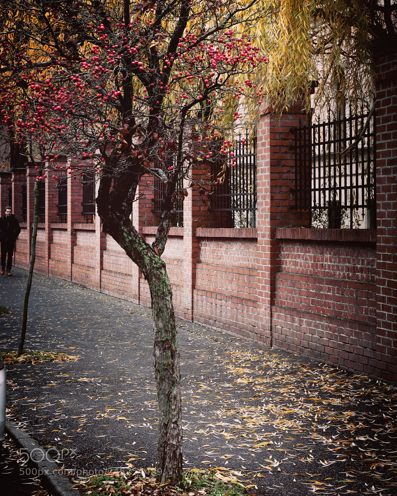 Nikon D7100 sample photo. Untitled photography