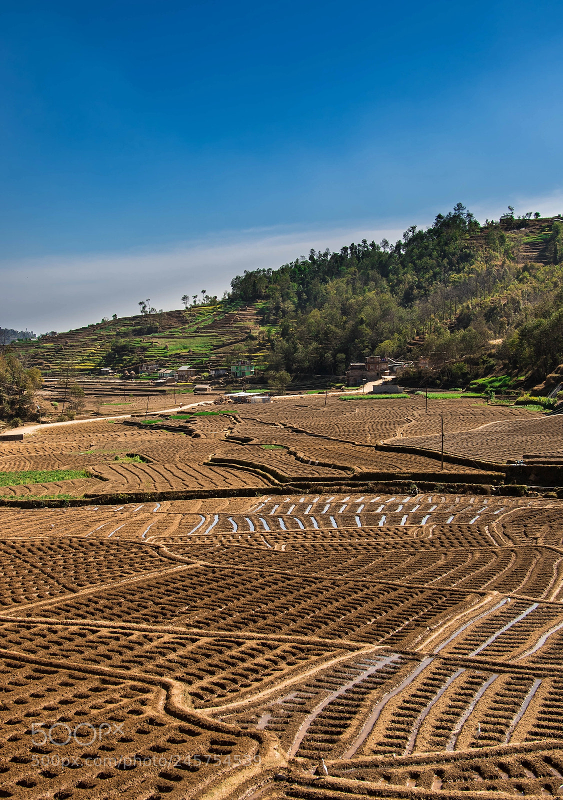 Canon EOS 7D Mark II sample photo. The agricultural land photography