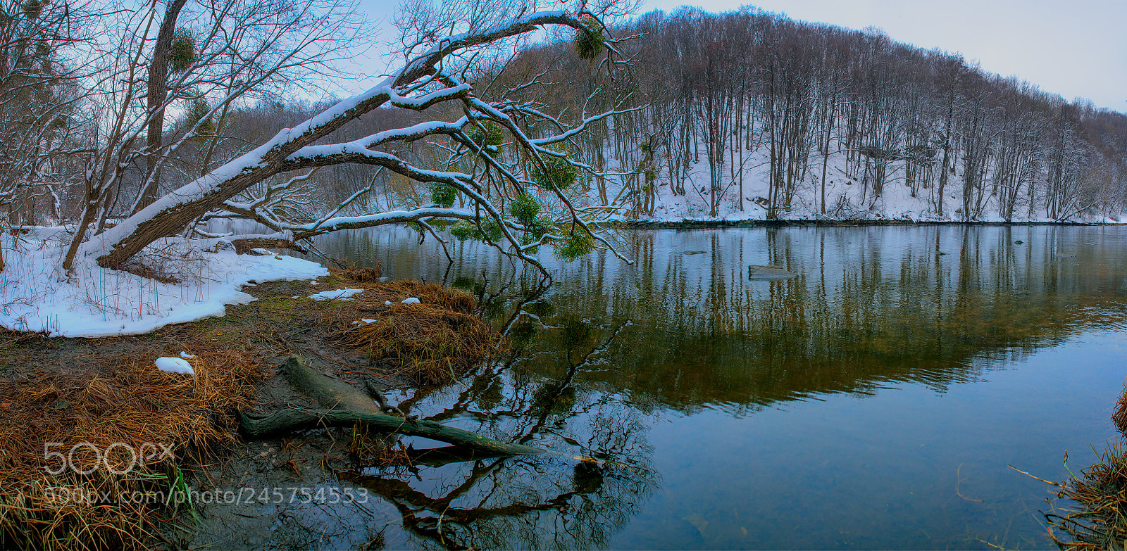 Nikon D800E sample photo. Thaw photography