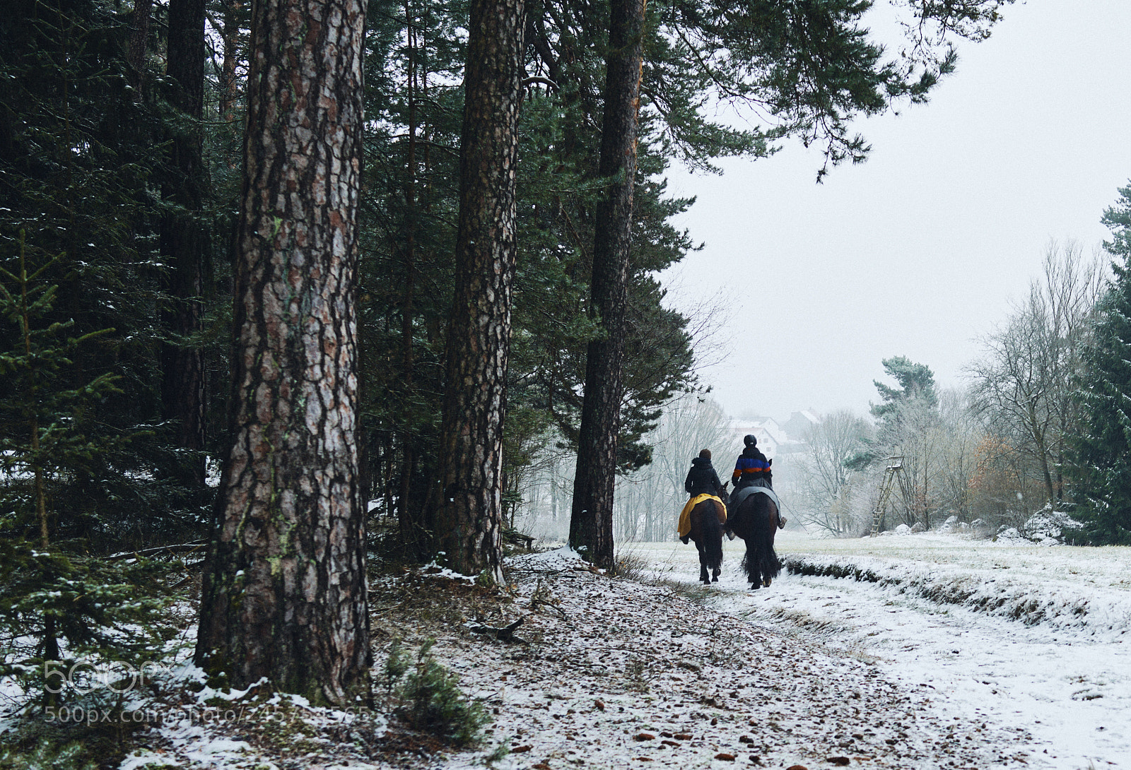 Sony Cyber-shot DSC-RX1R II sample photo. Snow riders photography