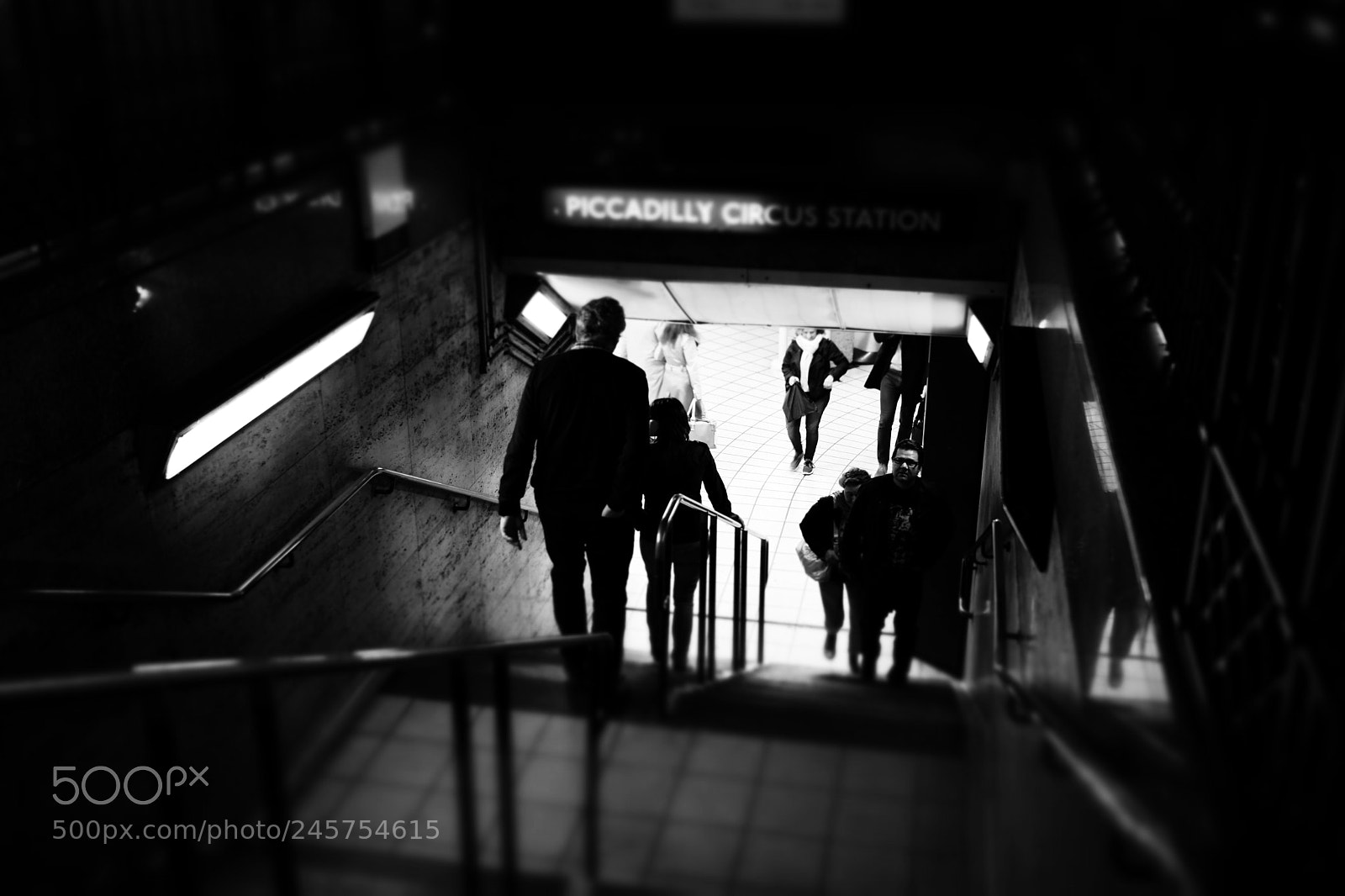 Fujifilm X-Pro2 sample photo. Down to the tube photography