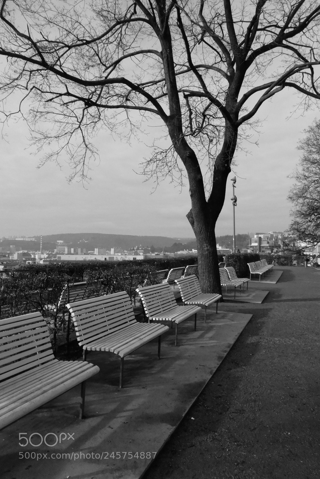 Sony Cyber-shot DSC-RX100 sample photo. Dsc photography