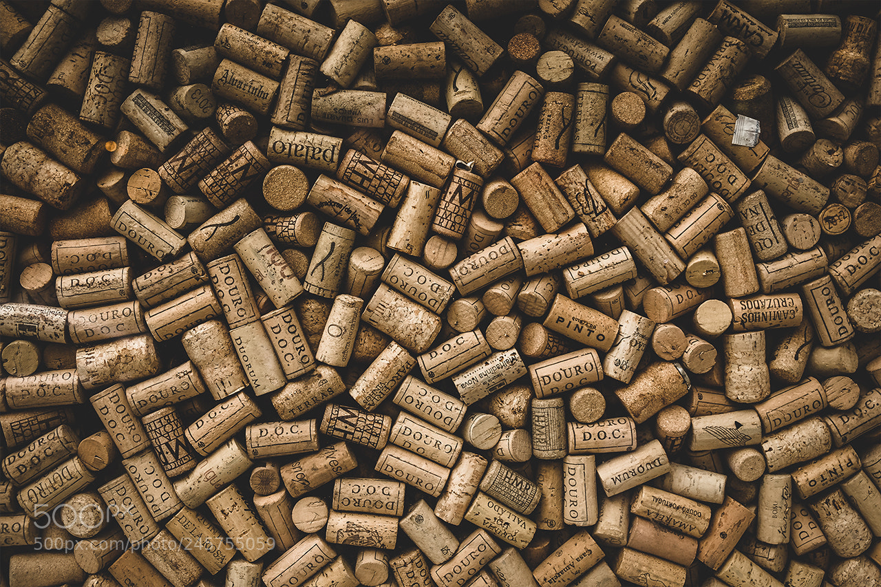 Fujifilm X-T1 sample photo. - douro cork - photography