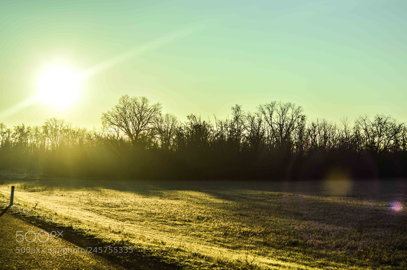 Nikon D3200 sample photo. Road photography