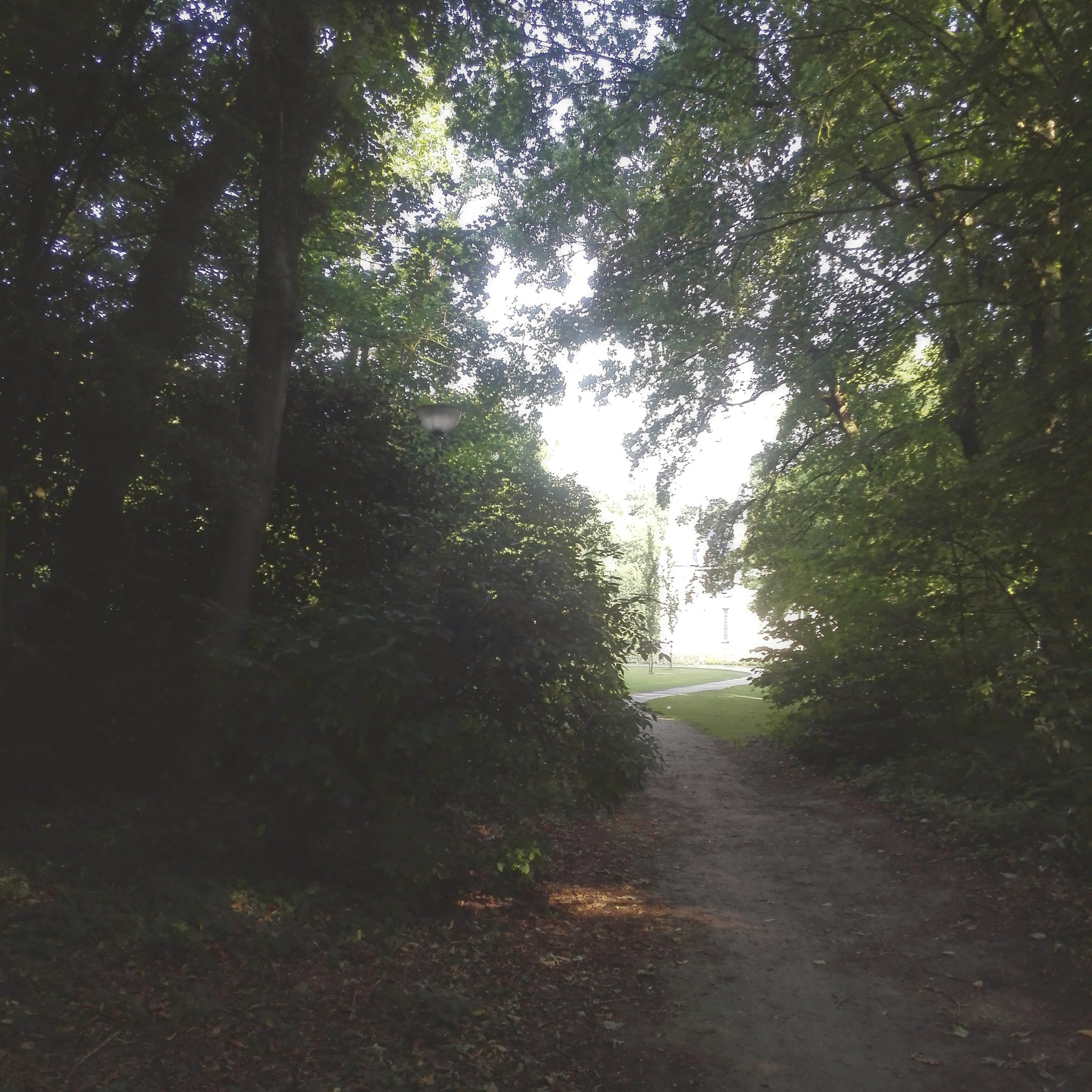 HUAWEI P7-L10 sample photo
