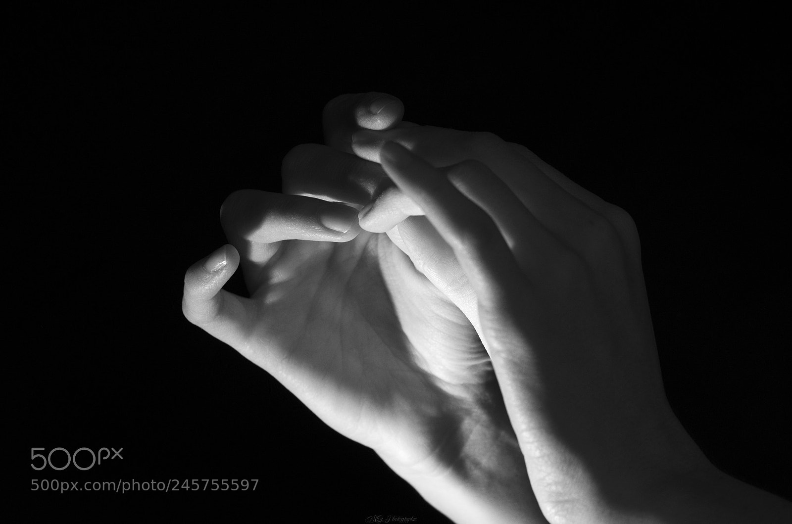 Nikon D5100 sample photo. Hand photography