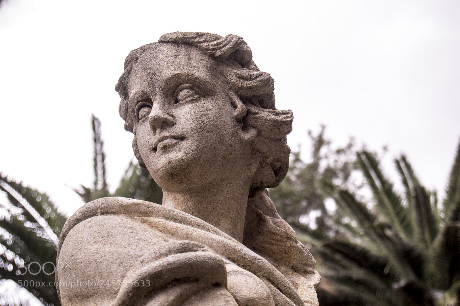 Nikon D3100 sample photo. Mirada perdida photography