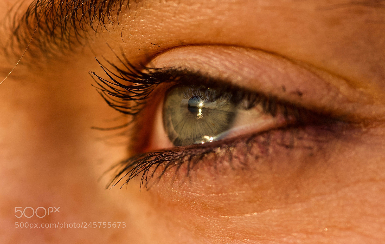 Nikon D70 sample photo. Eye contact photography