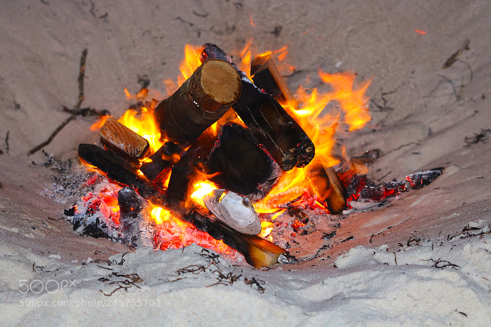 Canon EOS 750D (EOS Rebel T6i / EOS Kiss X8i) sample photo. Fire on the beach photography