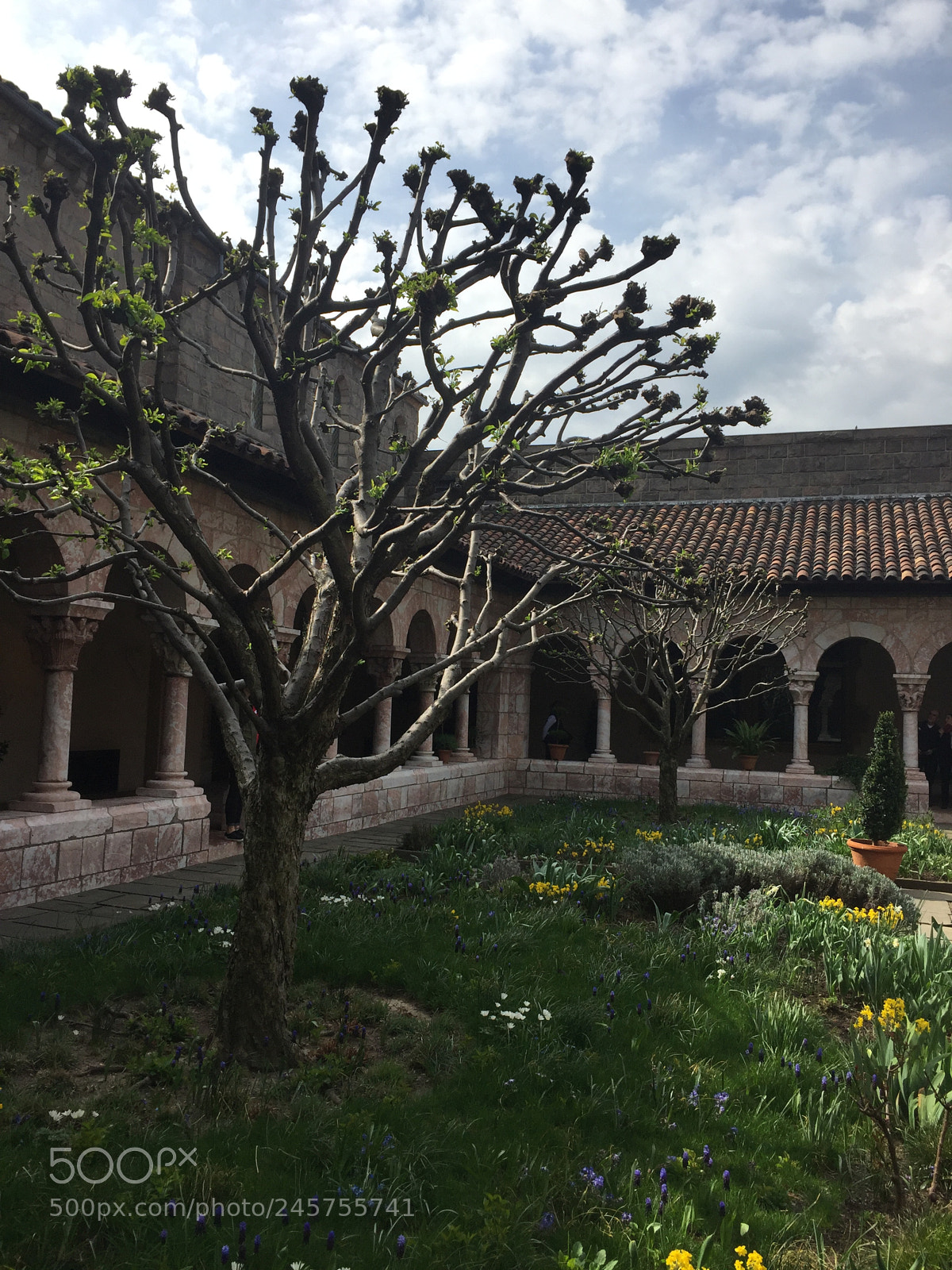 Apple iPhone 6 sample photo. Cloisters in ny photography