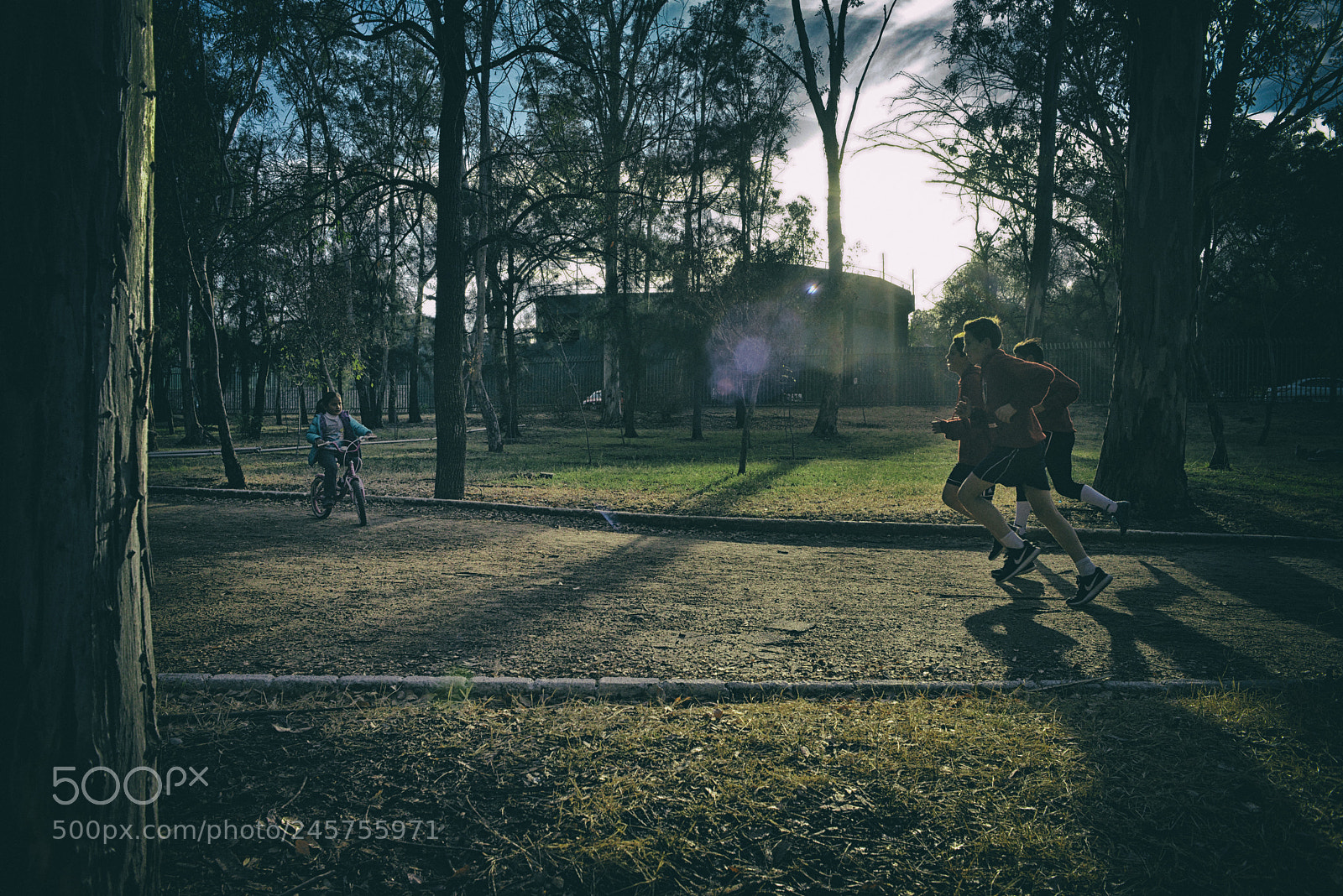 Nikon D800 sample photo. Runners photography