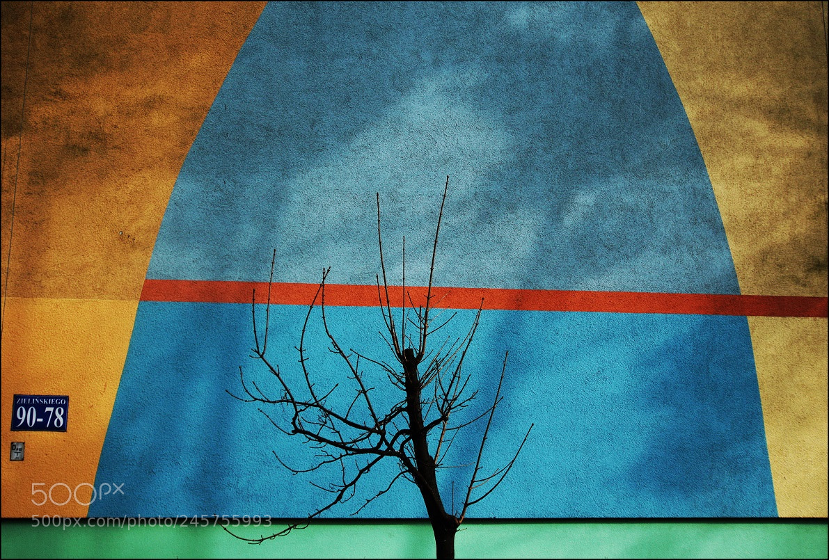Canon EOS 7D Mark II sample photo. Untitled photography