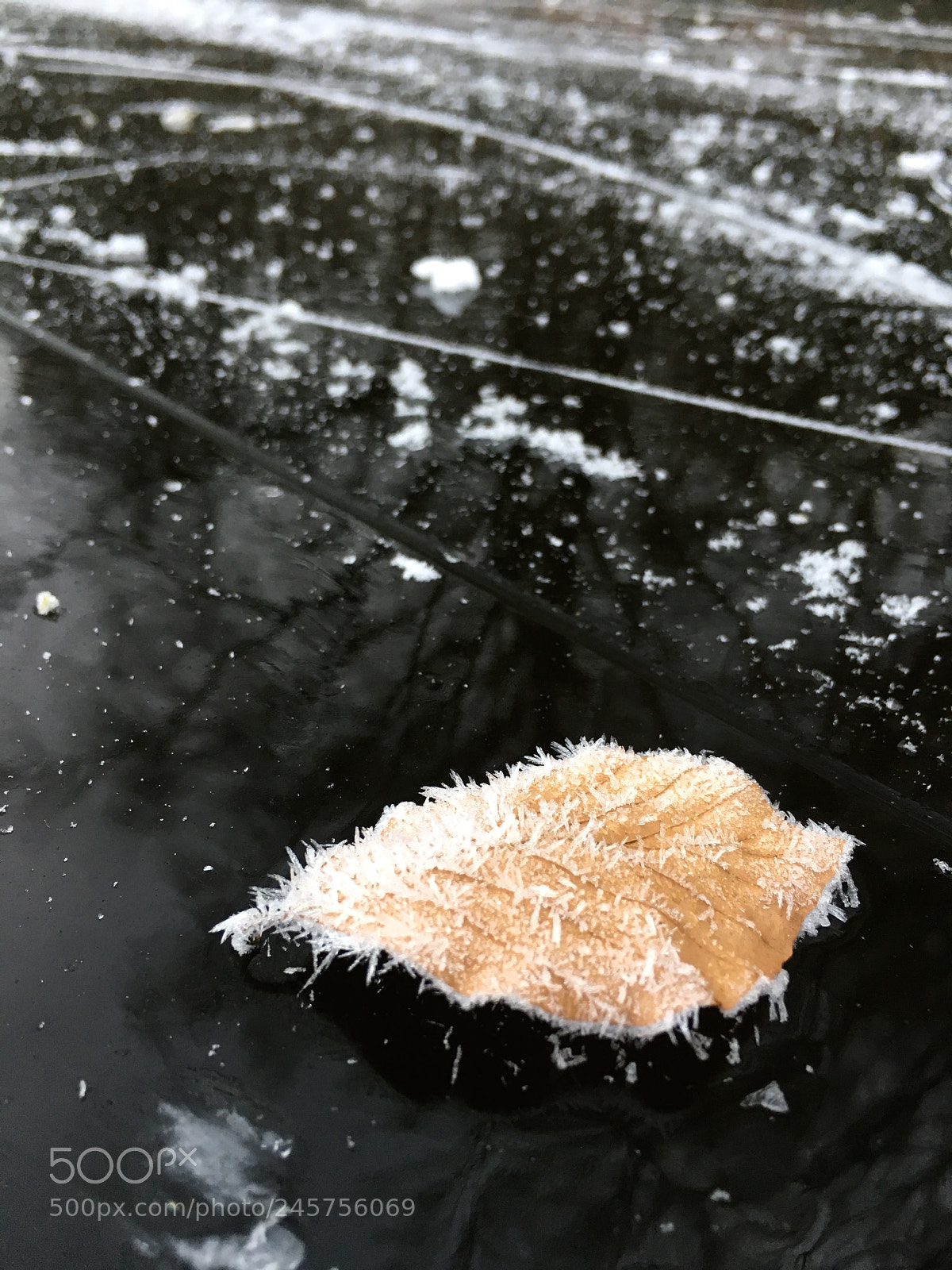 Apple iPhone 6s sample photo. Dance on the ice photography
