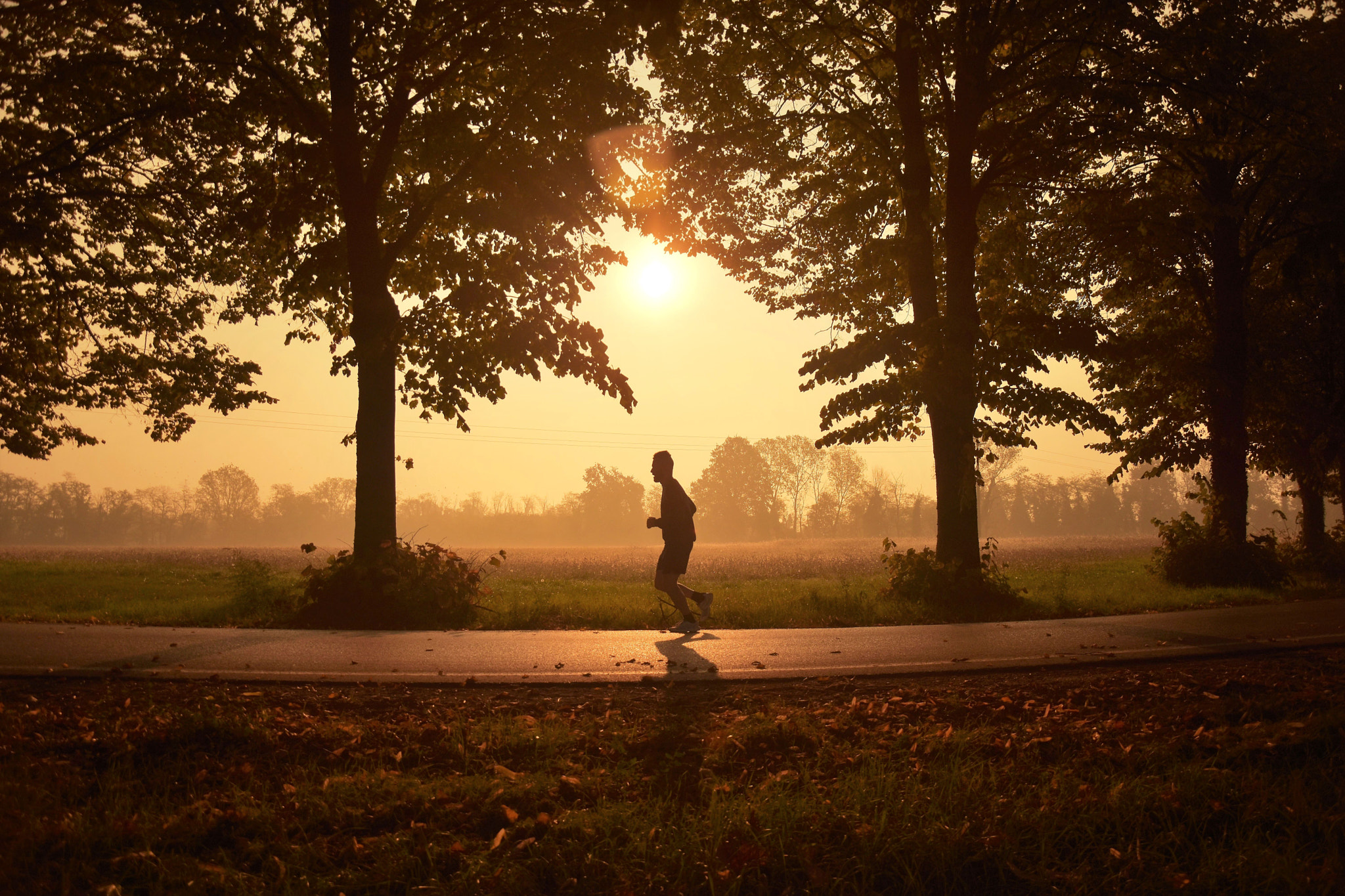 Nikon D5500 sample photo. Running in nature photography