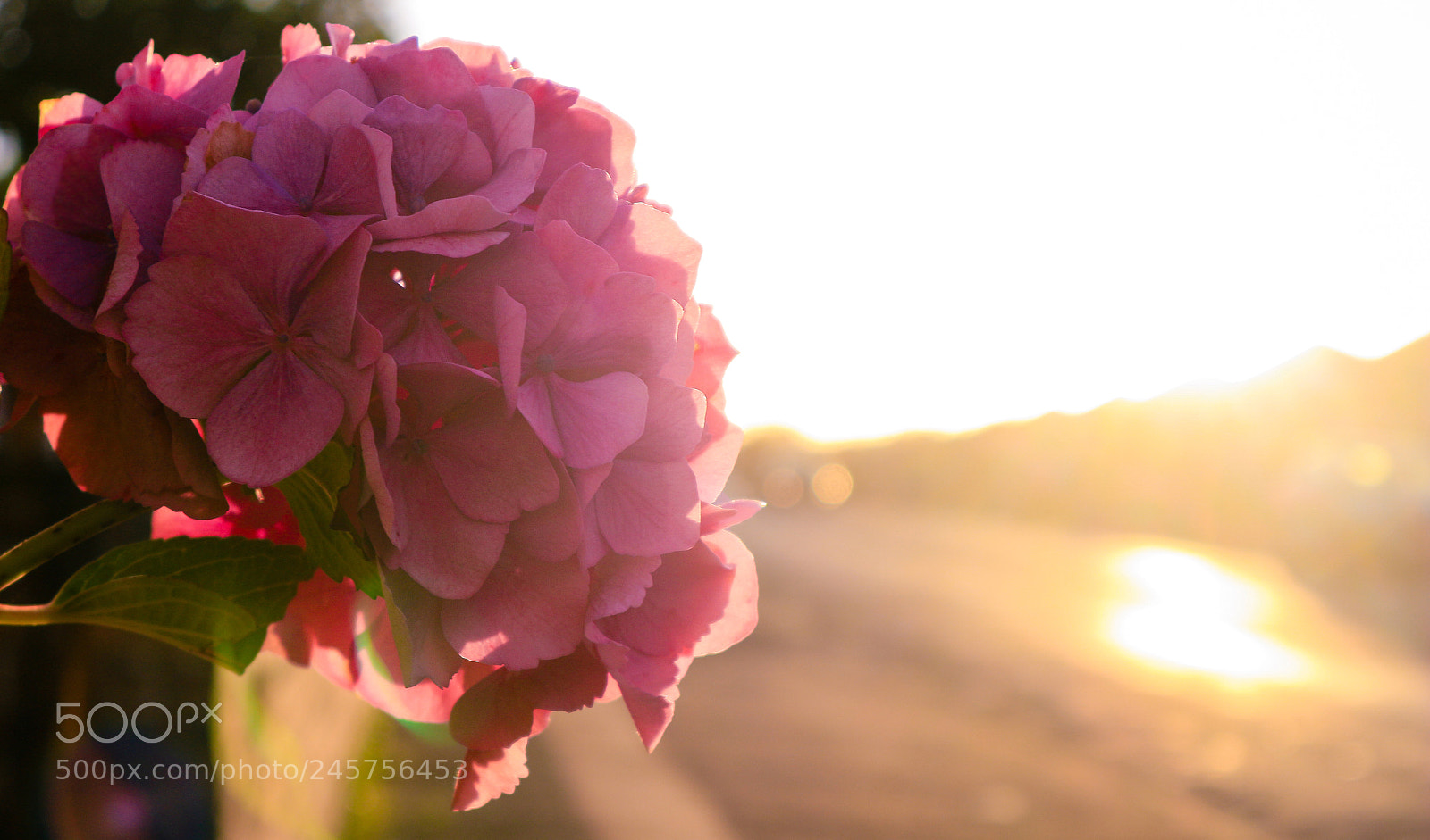 Canon EOS M10 sample photo. Untitled photography
