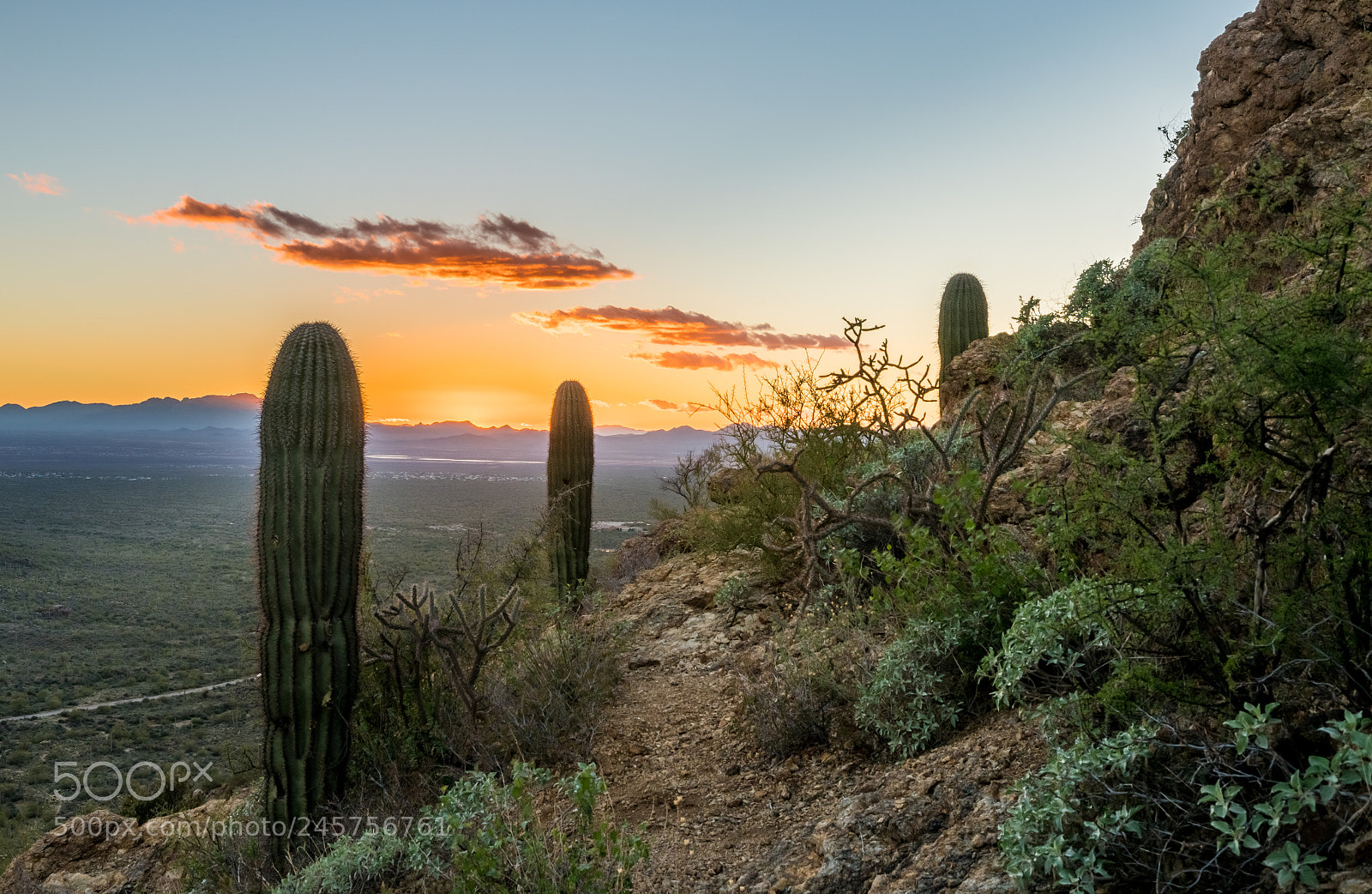 Sony a7R II sample photo. Sunset in saguaro national photography