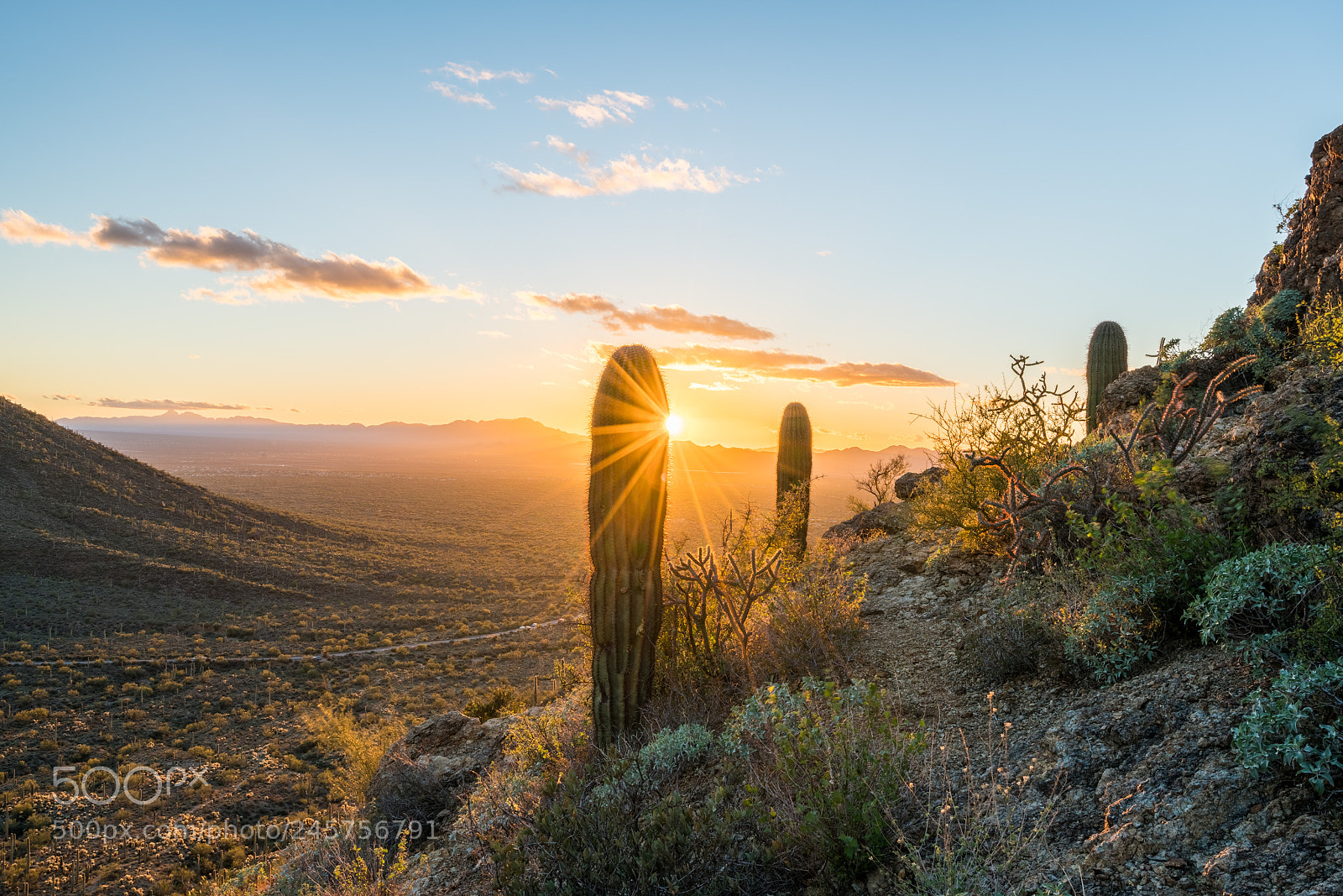 Sony a7R II sample photo. Sunset in saguaro national photography