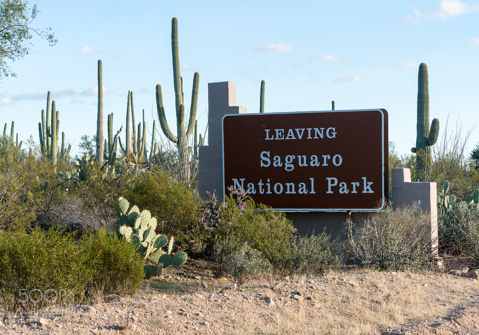Sony a7R II sample photo. Exit sign from saguaro photography
