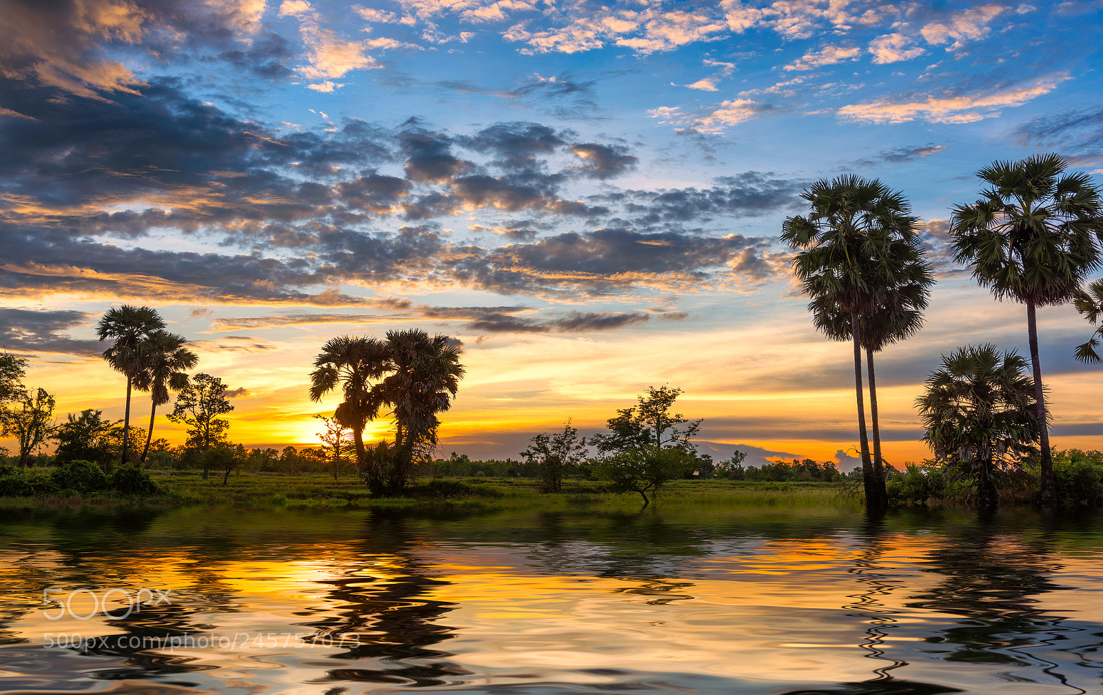 Nikon D810 sample photo. Sunset photography