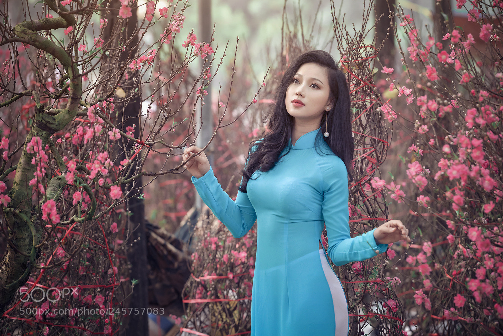 Nikon D800E sample photo. Ppk tet 2018 photography