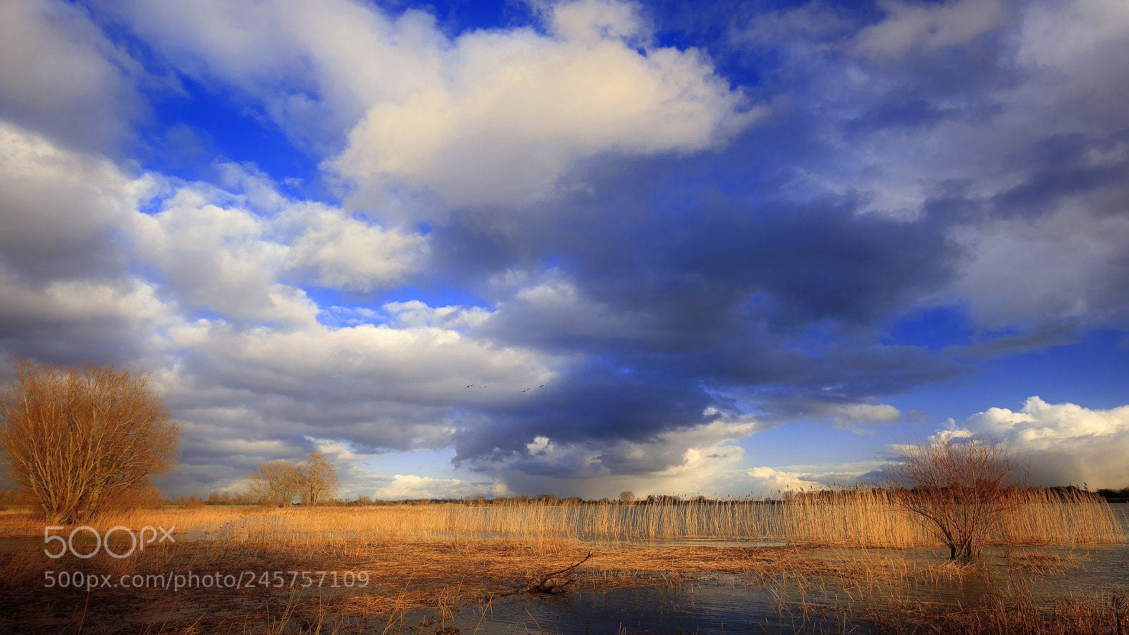 Canon EOS 5DS R sample photo. Water excess photography