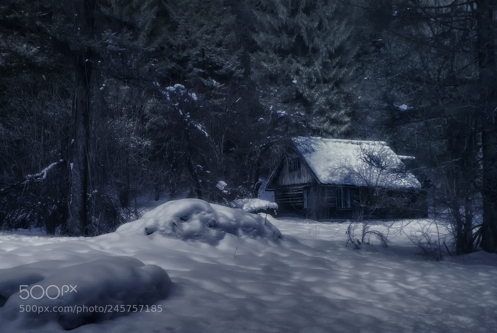 Nikon D80 sample photo. Moonlight shelter photography