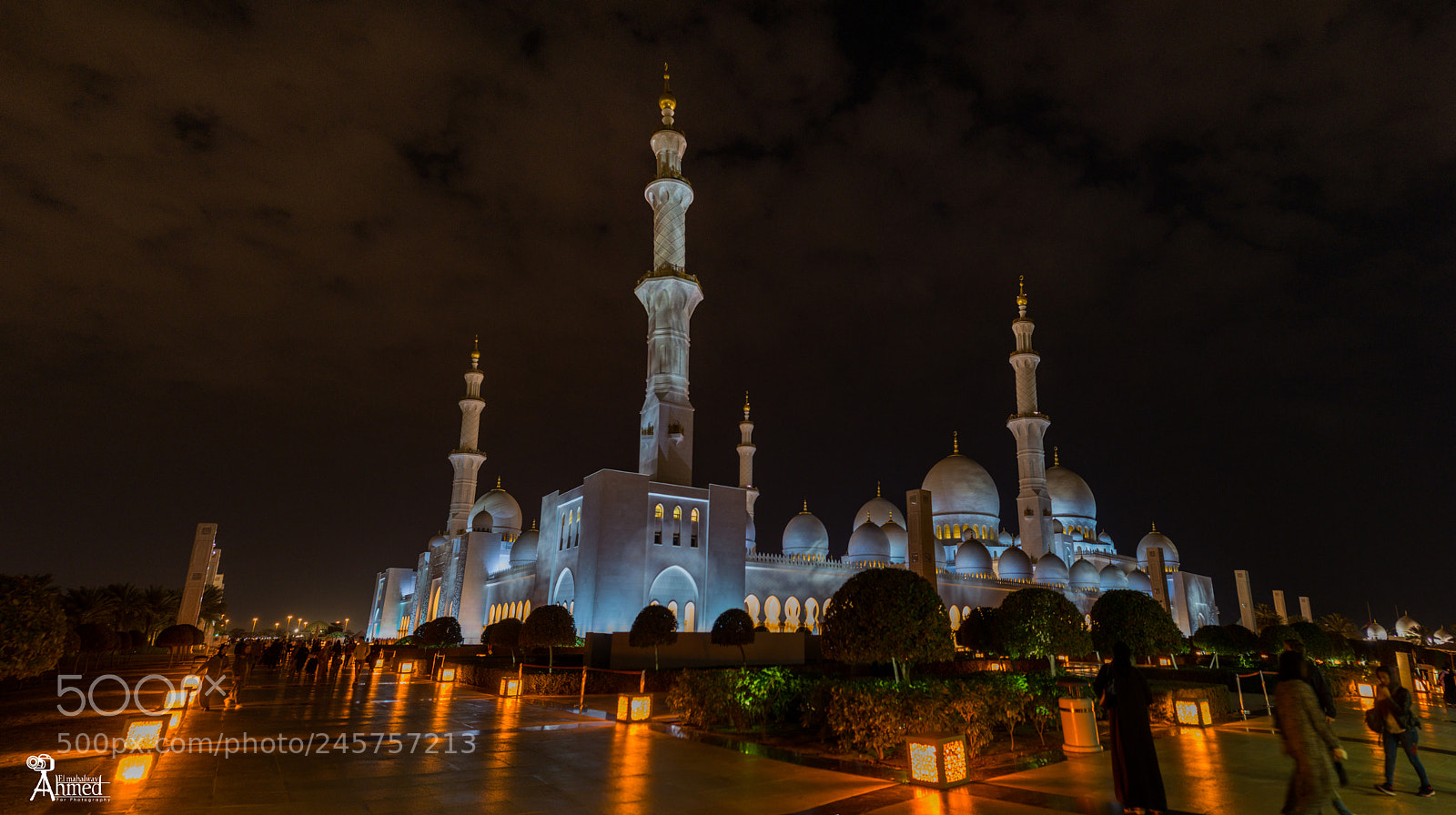 Nikon D610 sample photo. Sheikh zayed mousque photography