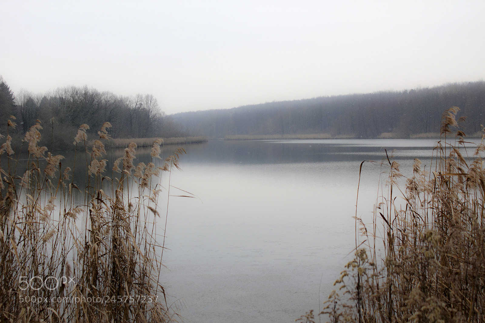 Canon EOS 550D (EOS Rebel T2i / EOS Kiss X4) sample photo. Early winter morning photography