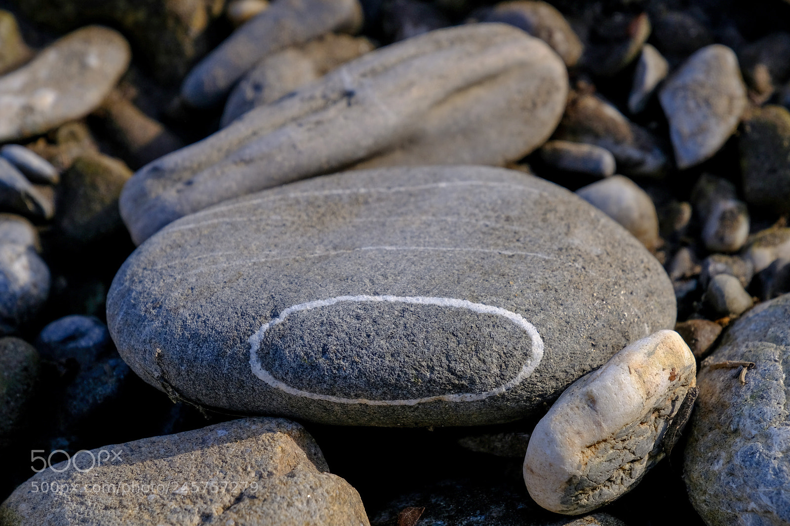 Fujifilm X-T20 sample photo. Ellipse photography