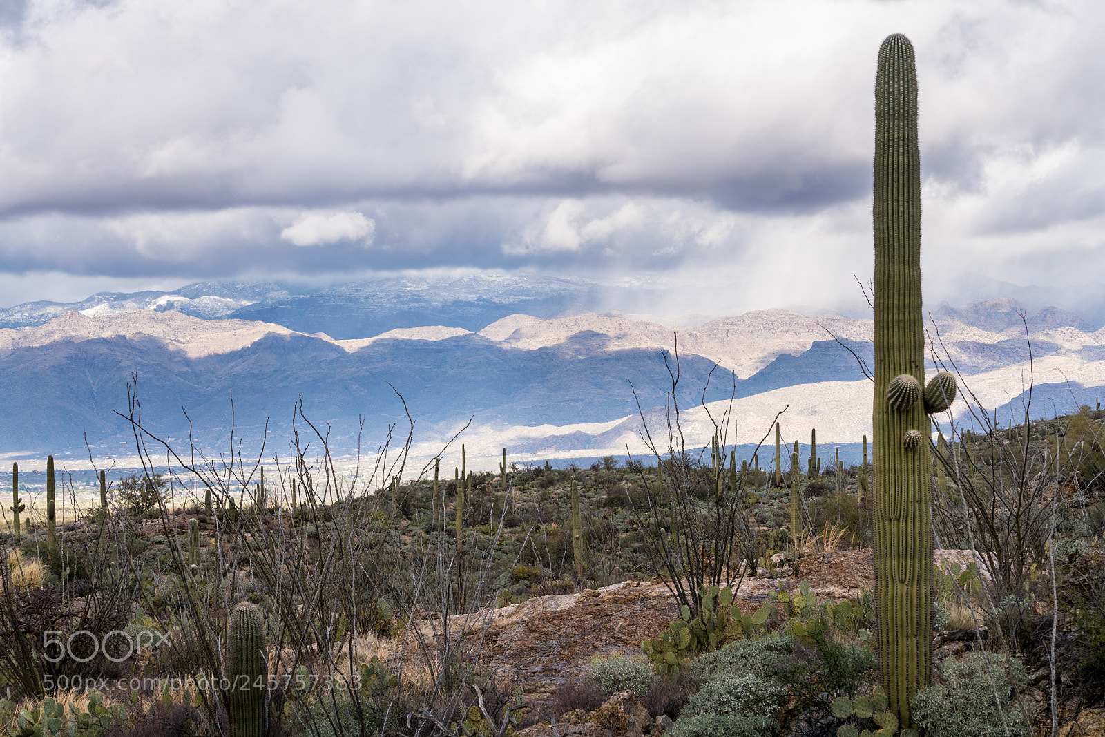 Sony a7R II sample photo. Storm by saguaro national photography