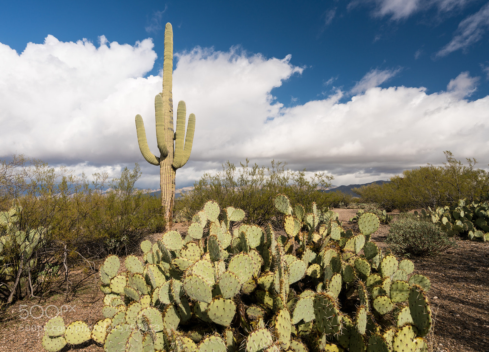 Sony a7R II sample photo. Storm by saguaro national photography