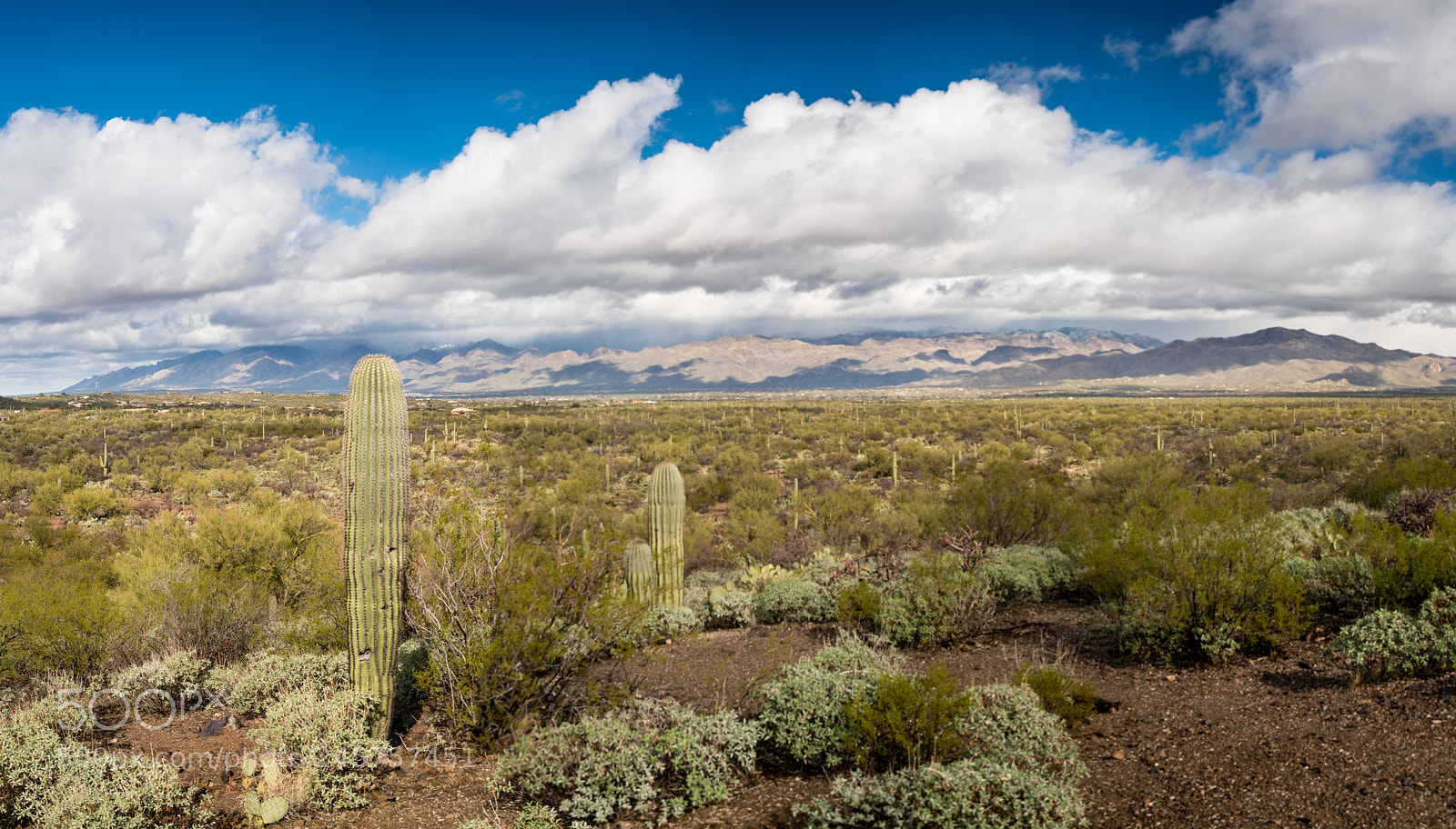Sony a7R II sample photo. Storm by saguaro national photography