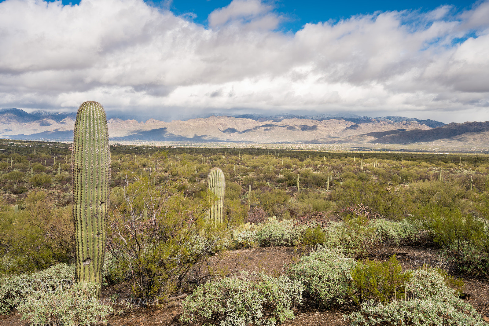 Sony a7R II sample photo. Storm by saguaro national photography