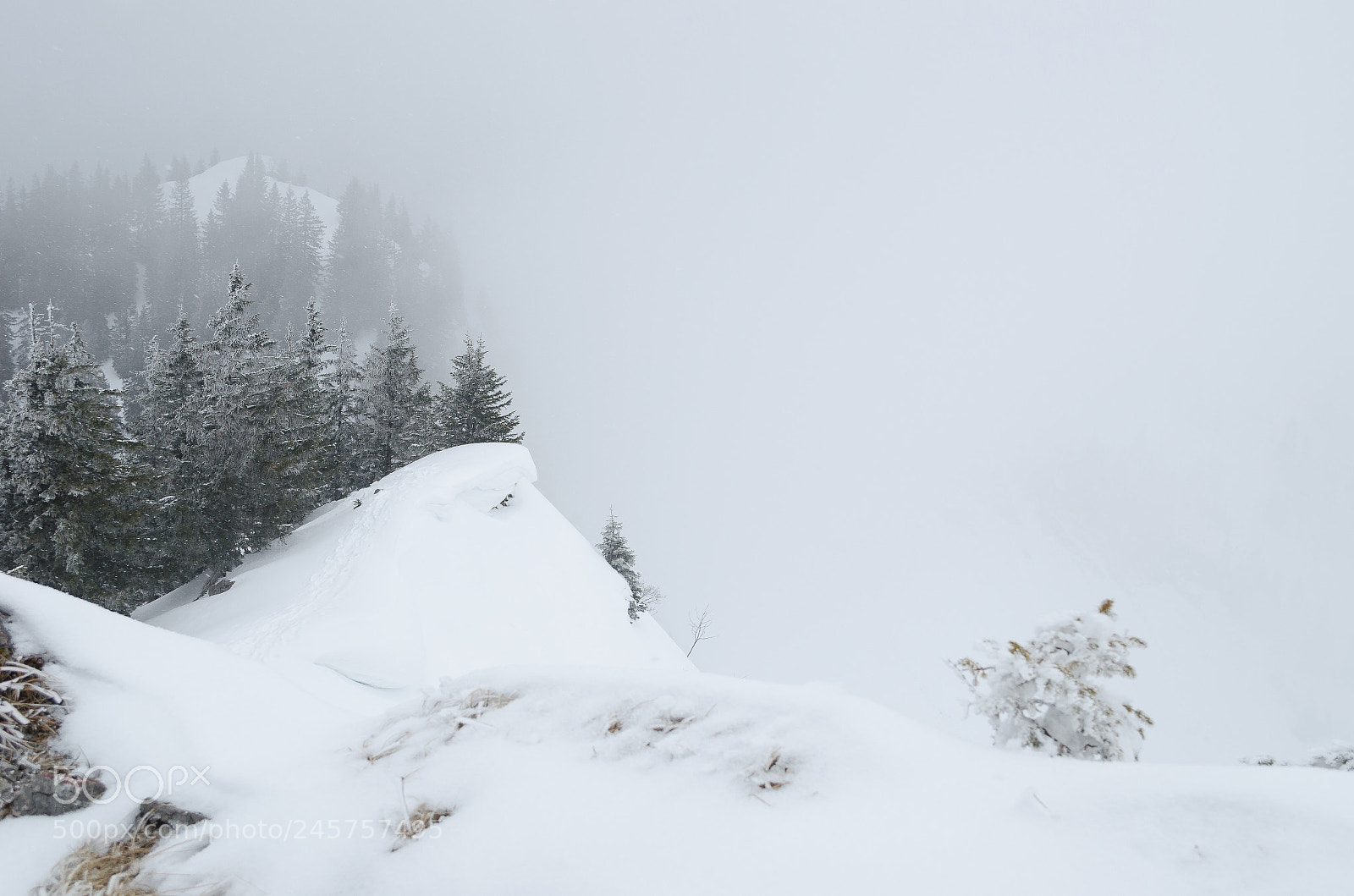 Nikon D5100 sample photo. Fog photography