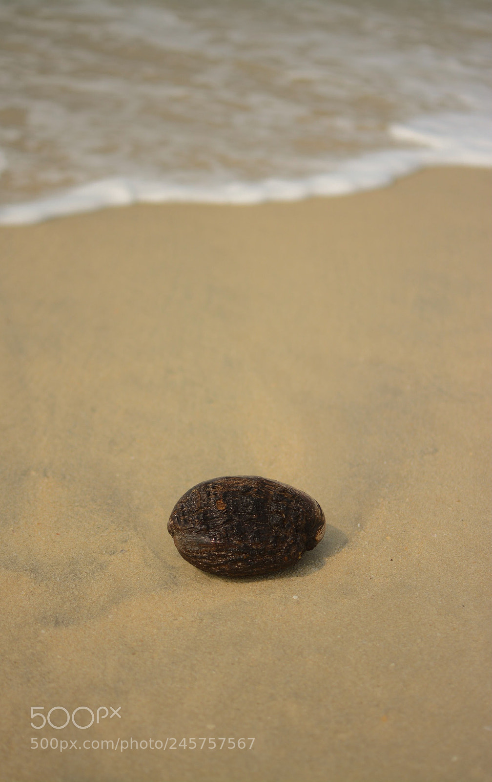 Nikon D7100 sample photo. Untitled photography