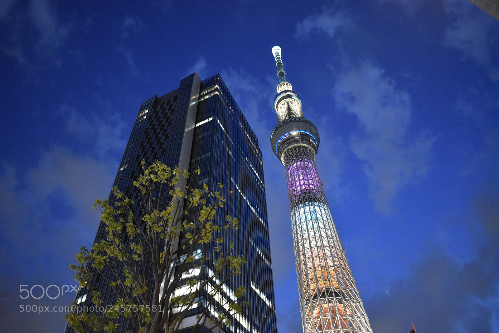 Nikon D5600 sample photo. Tokyo skytree photography