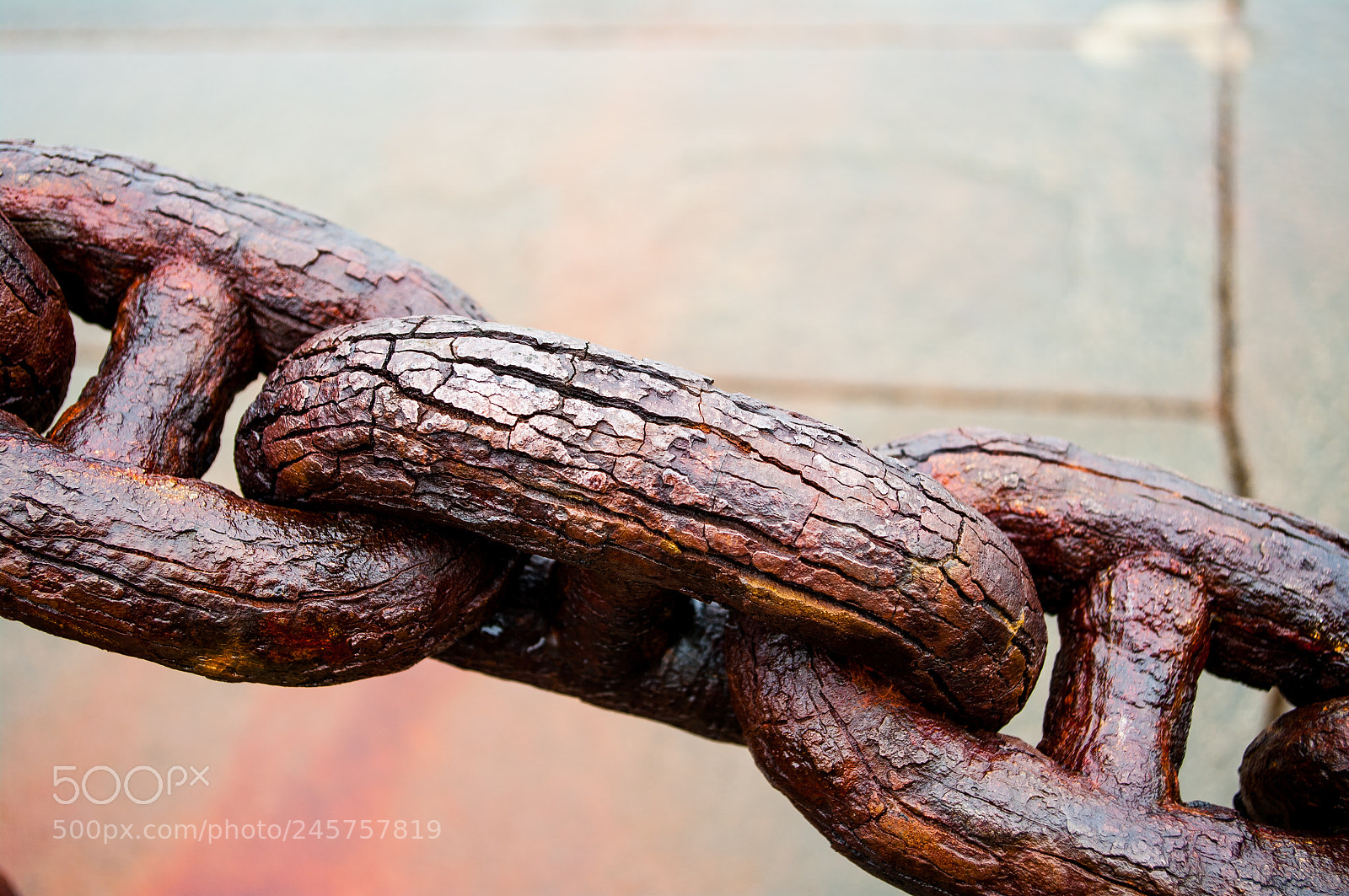 Pentax K20D sample photo. Chain photography