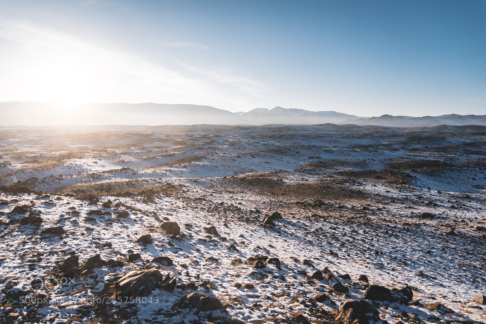 Nikon D610 sample photo. Alpine sunlight photography