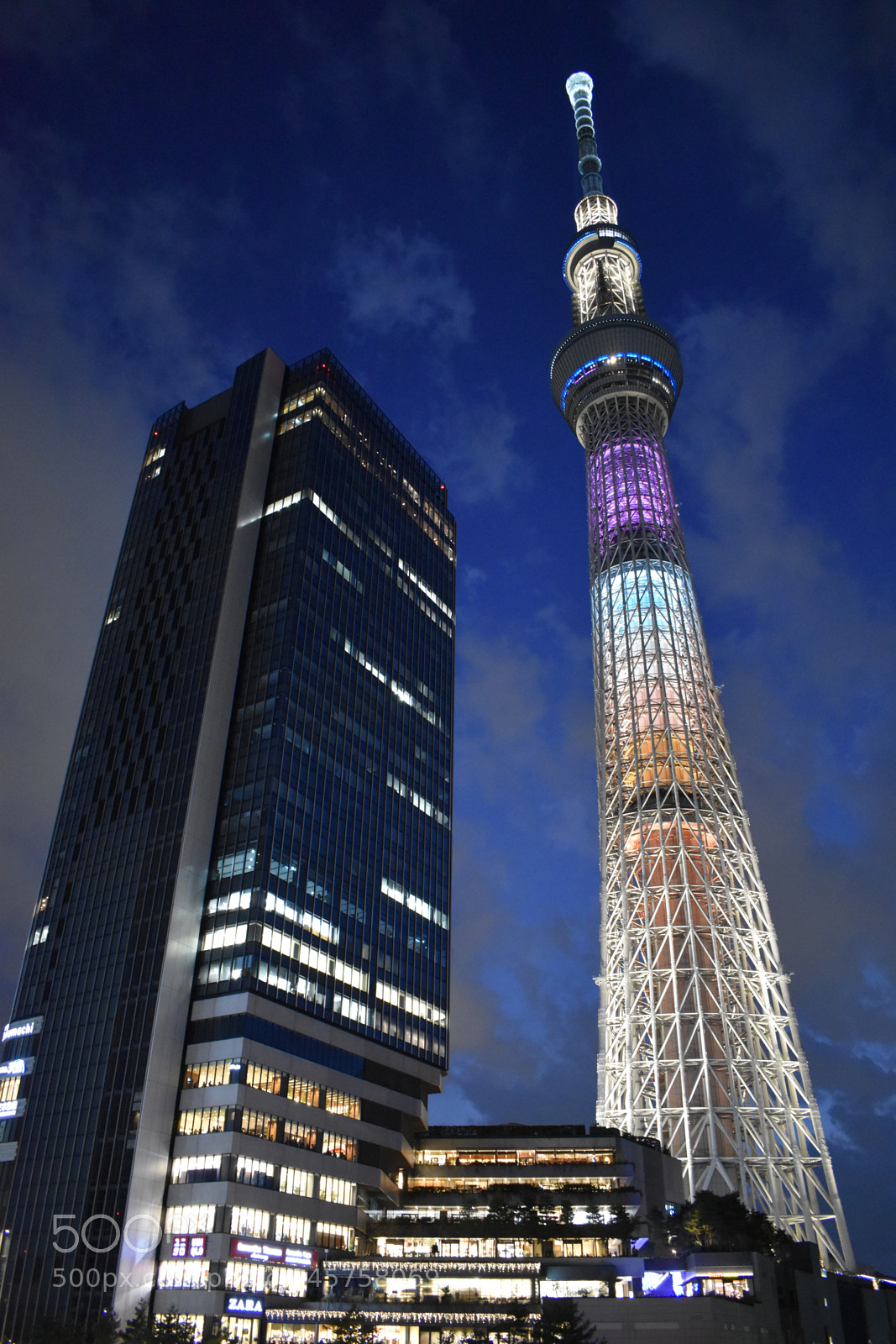 Nikon D5600 sample photo. Tokyo skytree 2 photography