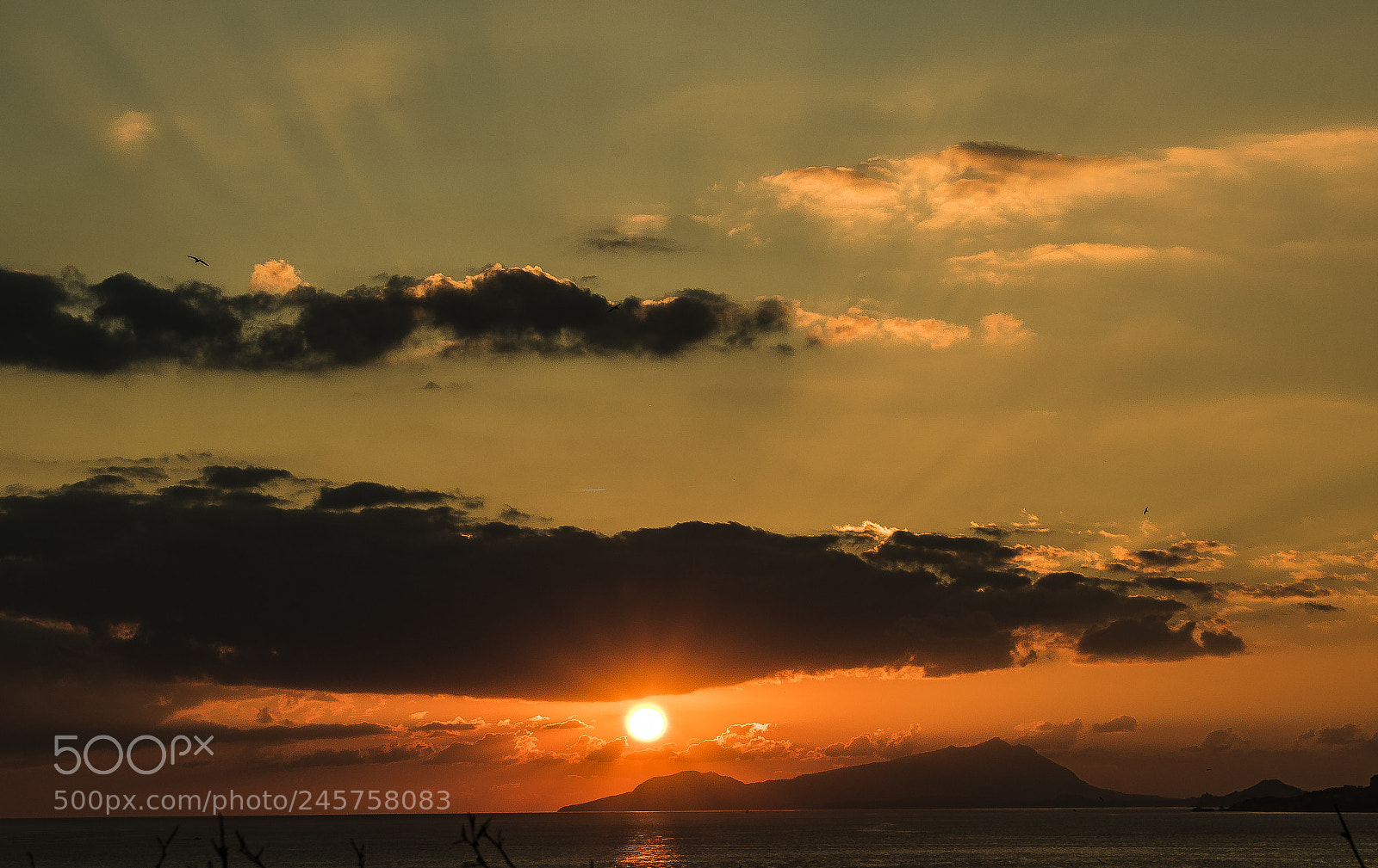 Nikon D5600 sample photo. Gulf of naples at photography